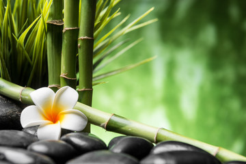 Obrazy na Szkle  frangipani i bambus na kamieniach bazaltowych zen