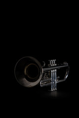 Silver trumpet isolated © AON