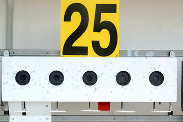 Biathlon. Target sports to rifle shooting .