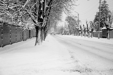 Cars on a road after snowfall