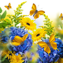 Amazing background with hydrangeas and daisies. Yellow and blue flowers on a white blank. Floral card nature. bokeh butterflies. - 129317054