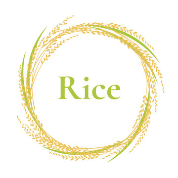 Ear Of Rice Logo Design, Circle Frame Vector, Plant Sign