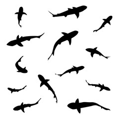 set of shark, silhouette fish, vector - 129318625