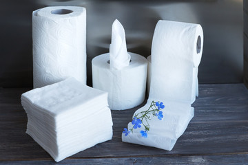 Paper towel, toilet paper, paper tissue and napkins on wooden board, Concept of cleanliness and body care.