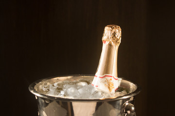 Champagne in bucket with ice on black
