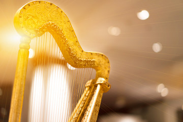 Harps golden light background.