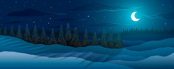 Panorama. Winter landscape. Fir trees forest in the night. Moon among stars and clouds.