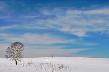 Winter landscape with snow