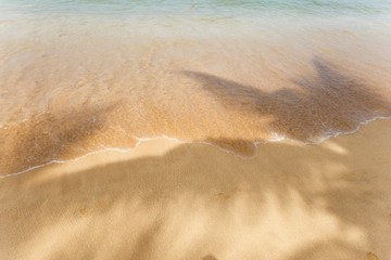 Palm leaf shadows on the beach. - 129322465