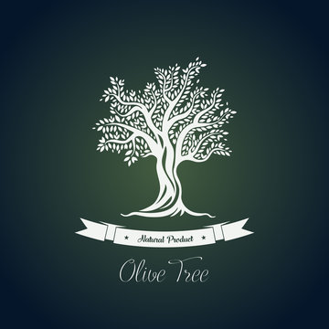 Fruit food plant or olive oil tree logo