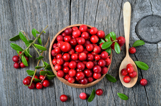 Red lingonberry in wooden bowl