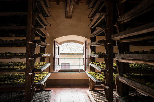 Room in which trebbiano grapes are being dried to become vin san