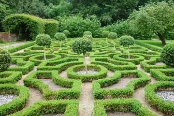 Tudor style knot garden in English country garden.