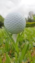 Golf Ball