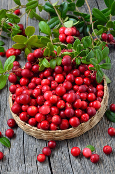 Red lingonberry in wicker basket