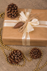 Gift box, cone. Rustic style. Christmas Decorations