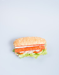 sandwich or health sandwich on the background.