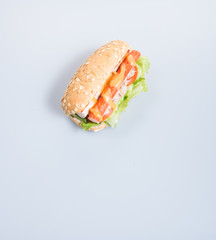 sandwich or health sandwich on the background.