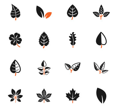 leaves icon set