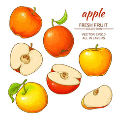 apple vector set