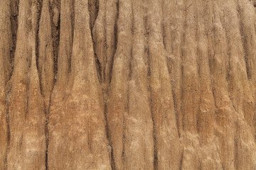 Texture of soil wall