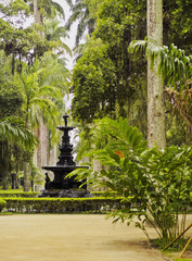 Fototapeta premium Botanical Garden in Rio de Janeiro