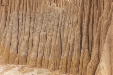 Texture of soil wall