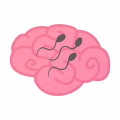 Isolated brain with sperm cells
