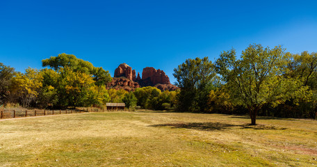 Obraz premium Sedona desert beauty