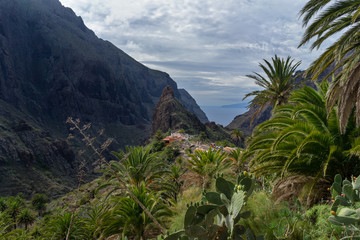 Obraz premium Scenic view of famous Masca ravine leading from village of Masca to shore of Atlantic Ocean. Tenerify Canary Islands, Spain.