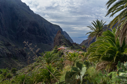 Scenic view of famous Masca ravine leading from village of Masca to shore of Atlantic Ocean. Tenerify Canary Islands, Spain.