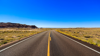 Arizona petrified forest