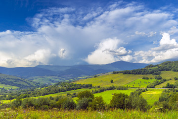 Obraz premium Piękne pole z drzewami i promieniami słońca. Lato. 