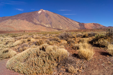 Obraz premium Panoramic view of Mount Teide volcano rising from sea level up to 3718 meters (12198 ft). Tenerife, Canary Islands.