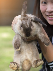 Asia woman holding a rabbit.