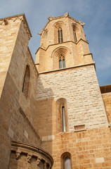 Cathédrale Sainte Thècle, Tarragone, Catalogne, Espagne