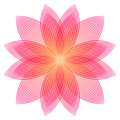 Abstract lotus flower in pink and orange colors