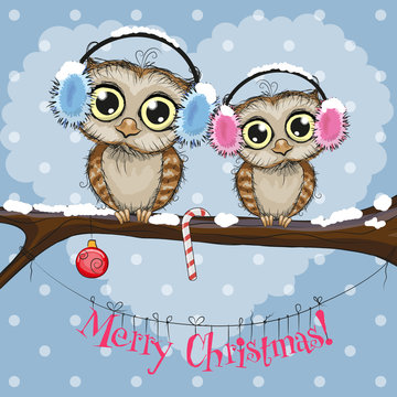 Two Owls on a branch