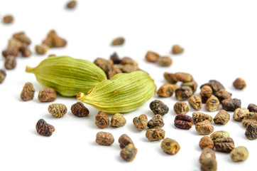 Schwarzer Kardamom
