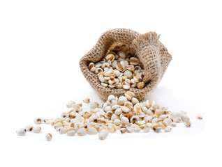 millet grains on white background