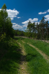 Fototapeta premium Overview Cesky Raj, Czech Republic, Central Europe