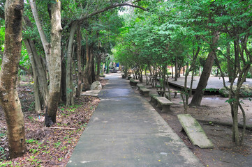 Walkway in public park in morning.