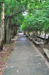 Walkway in public park in morning.