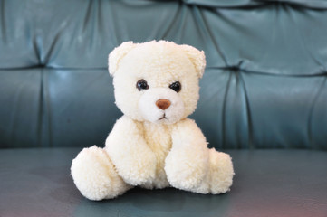 White cute teddy bear sitting on leather sofa