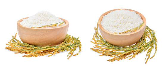 rice plants, grains of Thai jasmine rice in wood bowl on white b