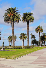 Uruguay, Montevideo, View of the Rambla.
