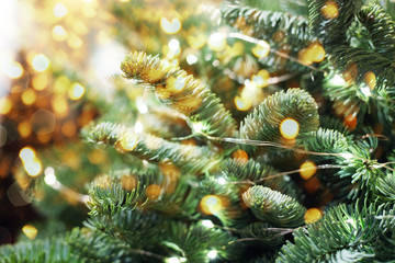 Naklejka na ściany i meble Closeup of Christmas-tree background