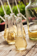 Bottle of plum brandy with small glasses on wooden table