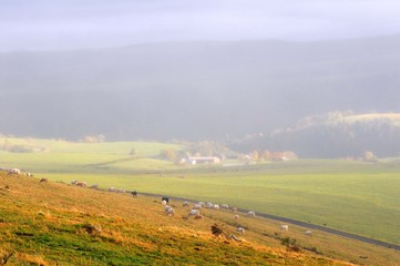 Fototapeta premium chambon sur lac france