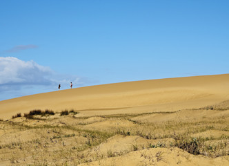 Uruguay, Rocha Department, Cabo Polonio, View of the dunes.